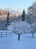 IMG_3739