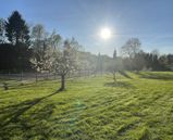 IMG_4349
