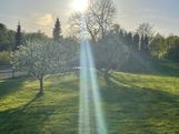 IMG_4364