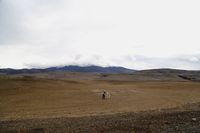 IMG_5910