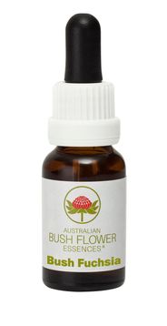 Bush_Fuchsia