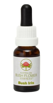 Bush_Iris
