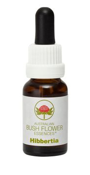 Hibbertia