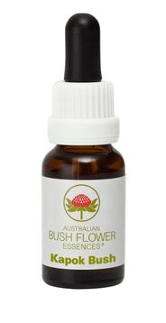 Kapok_Bush