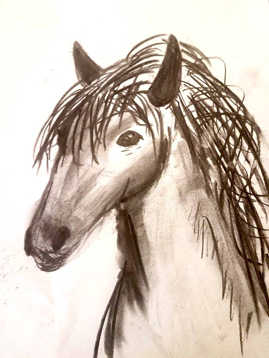 horse