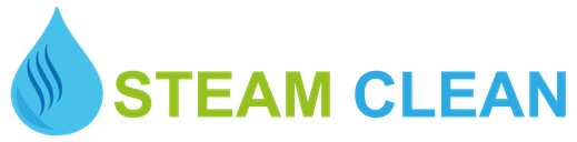 STEAM CLEAN