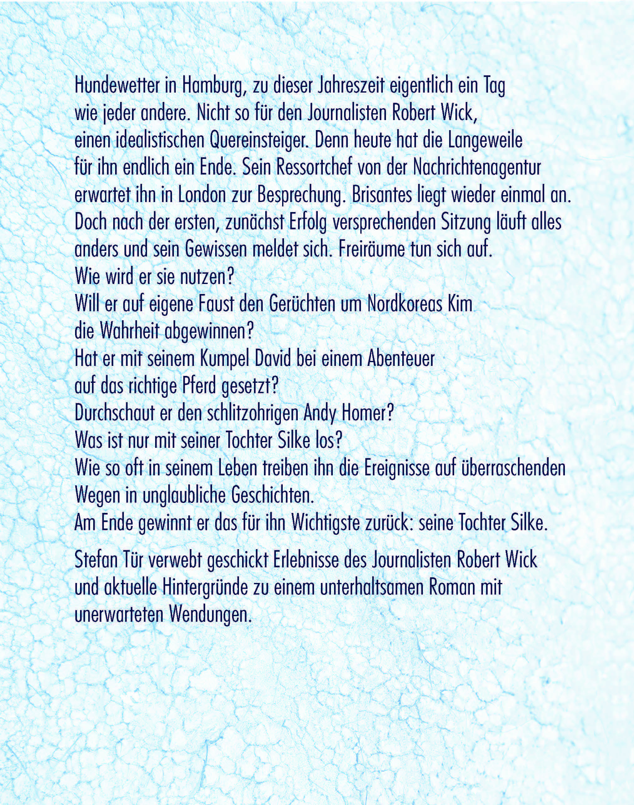 Klappentext ChancenPool