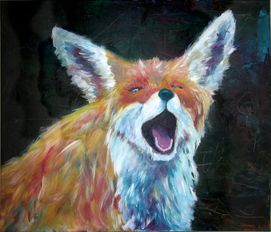 Ræv