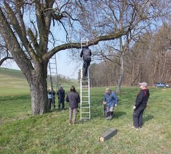 Einsatz der Spenden Bilder  (1)