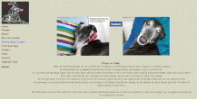 www.kunstengalgos.nl