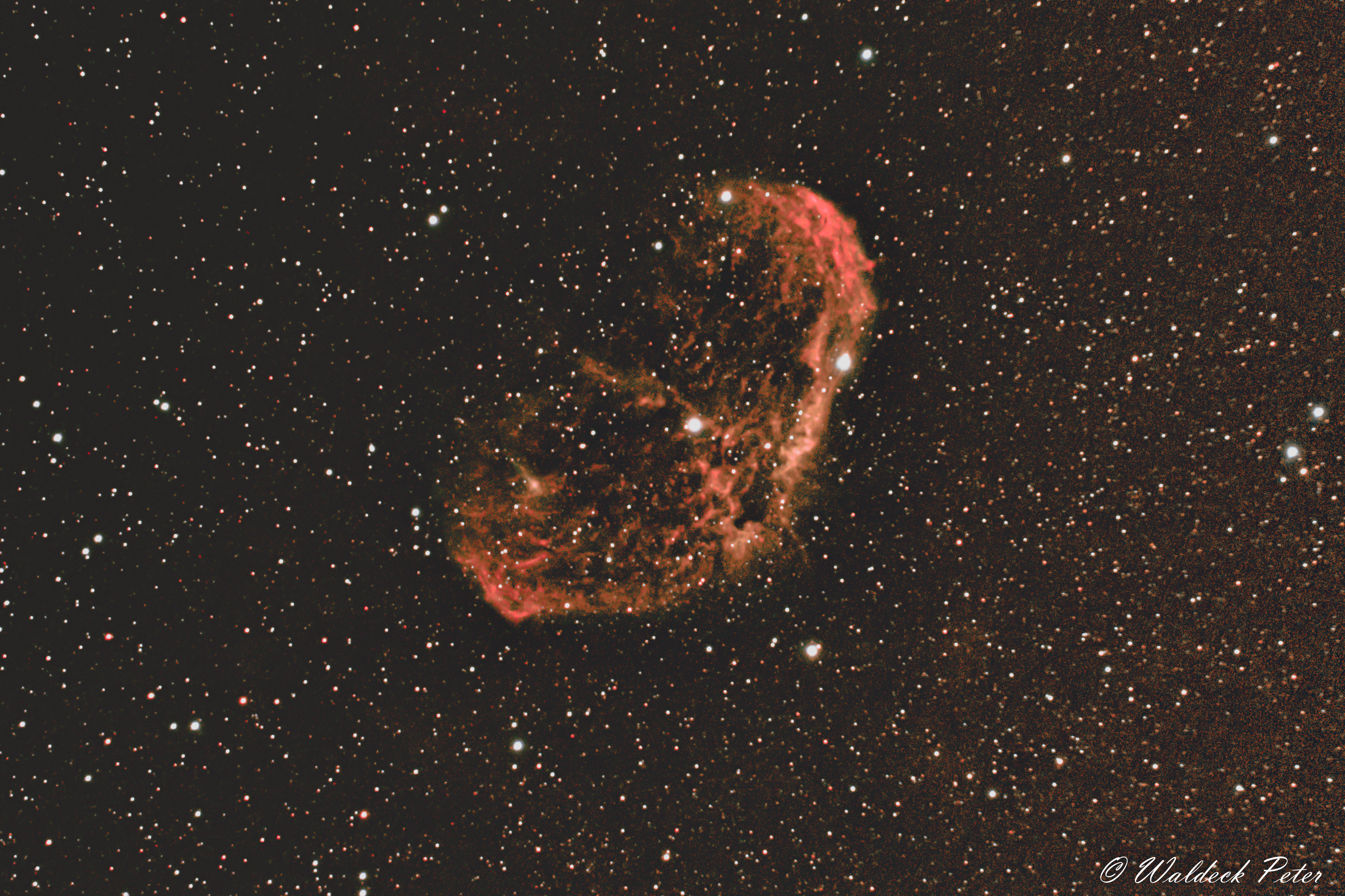 NGC 6888 Crescentnebel mit e-Nhancefiloter_9,25er und 1645mm-