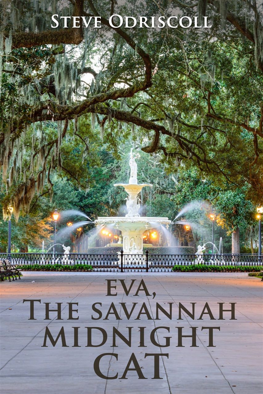 Amazon Kindle and Paperback editions