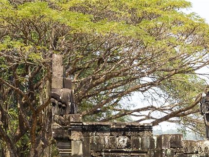 Vestige Site d'Angkor - Cambodge