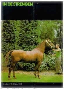 Dirigent, foto voor in In de Strengen 1976 gerelateerd aan artikel over Dirigent in deze editie