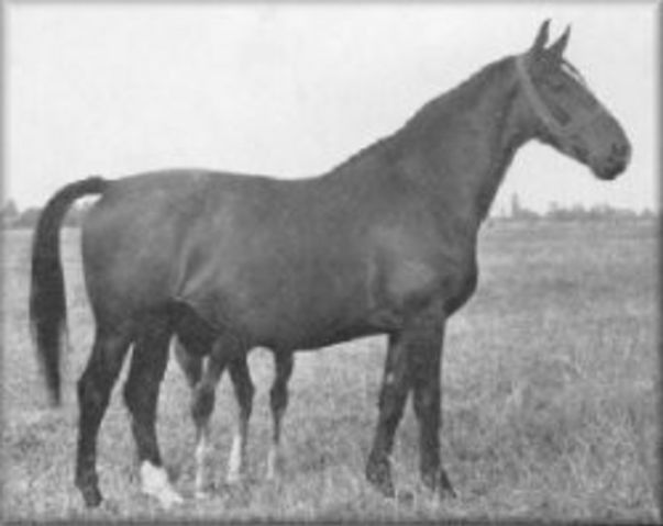 Lady Reveil - foto