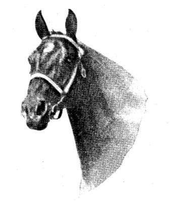 Ebert