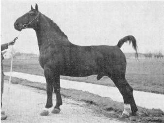 Baronet