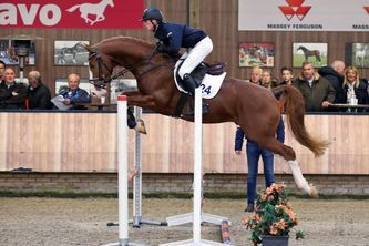 Imposant EM by Danser x Elegant