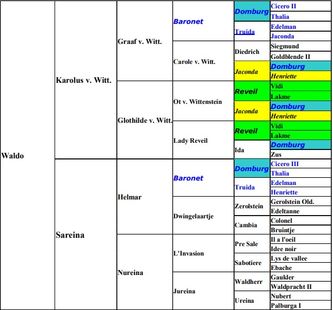 Stamtafel Waldo - aandacht voor ingenieuze opbouw van de bloedlijnen in de zin van samenvoeging