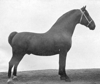Xerxes II V. Xerxes