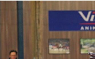 Op bijgaande foto zien we boven de op de foto linker KWPN zuil een springfoto van Gondelier hangen met Henk Nooren, genomen tijdens Indoor Brabant 1974 waar ze deelnamen. Gondelier heeft geschiedenis geschreven voor het KWPN door als eerste goedgekeurde KWPN hengst het nationaal kampioenschap springen voor Senioren in 1972 met Henk Nooren te winnen te Groningen.