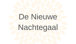 Huis van de Wijk De Nieuwe Nachtegaal