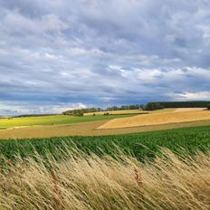 natuur2