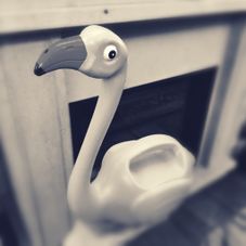 Britney Flamingo