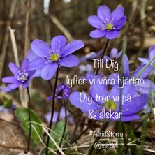 Foto & text av Stina Jirdell. @sjirdell. #alltidstörre