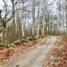 Foto & text av Stina Jirdell. @sjirdell. #gårintedu