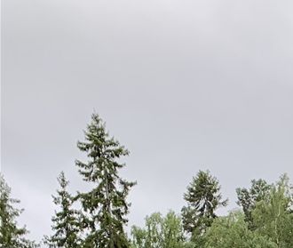 Kräftfiske i Erken