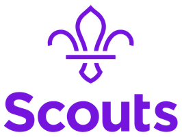 link to scouts