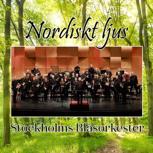 Nordiskt ljus 1080x1080