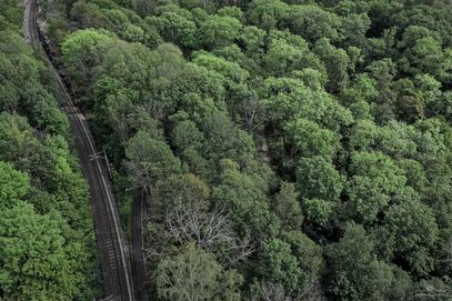 DJI_0848-HDR_Lidingö_FotografandersES_Webb