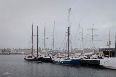 _DSC0776_SkeppDjurgården_FotografAndersES_Webb