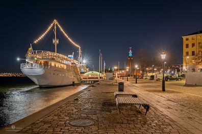 _DSC4057_LadyHutton_FotografAndersES_Webb