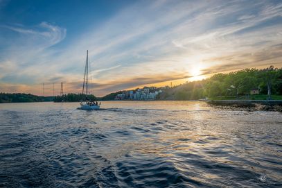 _DSC4278