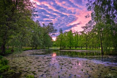 _DSC8605_Webb