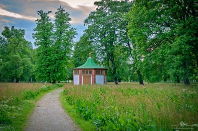 _DSC8606_Webb