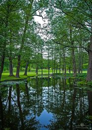 _DSC8609_Webb