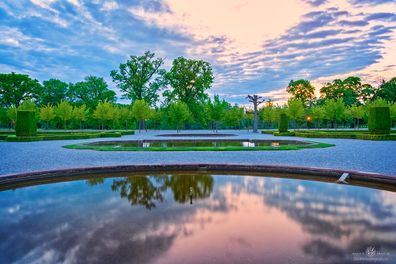 _DSC8615_Webb