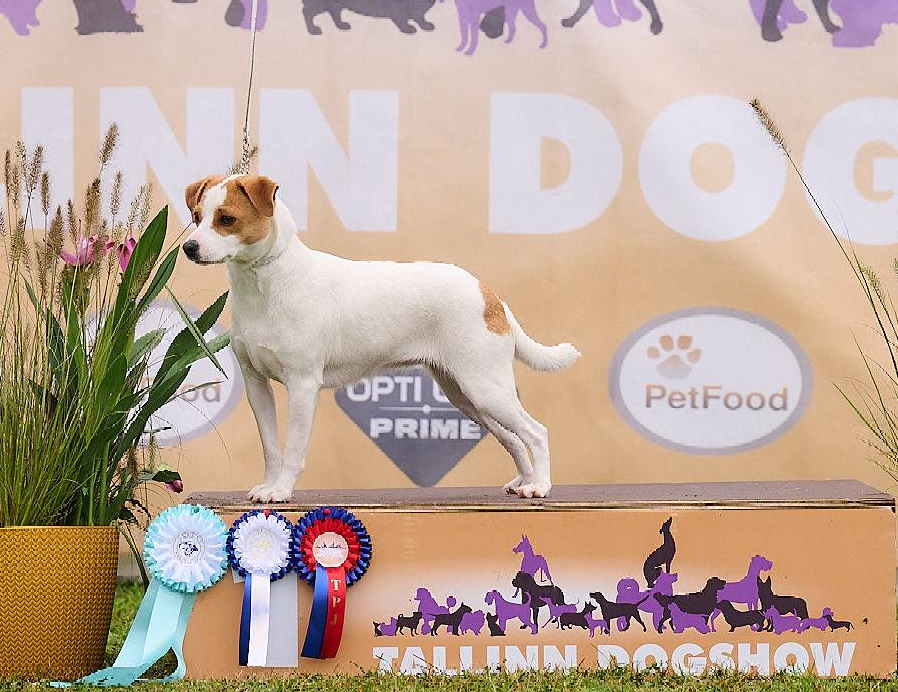 C.I.B.-J LTJCH LTJW25 Stolta Ebbas Justina Of Sweden