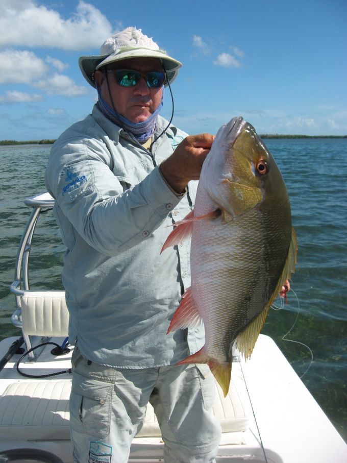 Stor snapper fra Cayo Santa Maria 2019