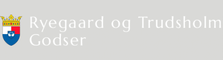 Rikke Molge Jewellery