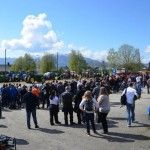 traktorpulling13