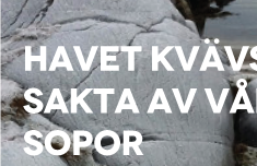 Bildlänk: Havet kvävs sakta av våra sopor.