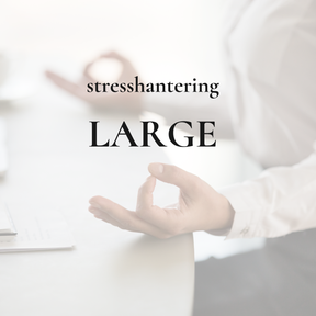 Large företag