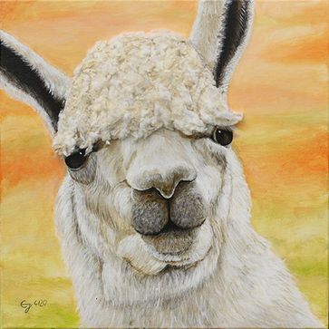Lama-mit-Frisur