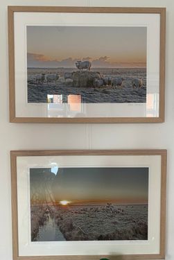IMG_3950