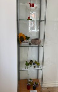 IMG_5548
